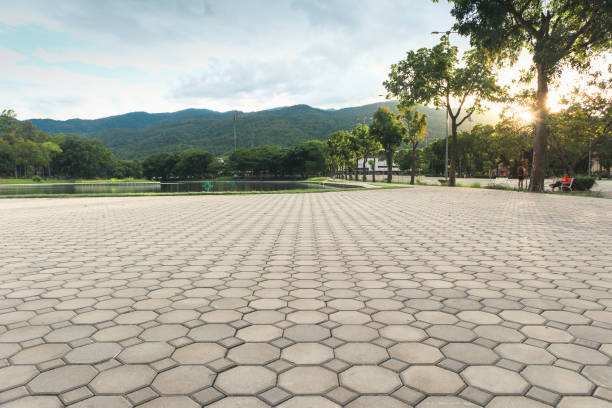 Best Professional Driveway Pavers  in Raymond, WI