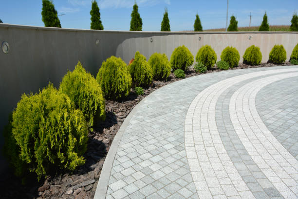 Best Interlocking Driveway Pavers  in Raymond, WI